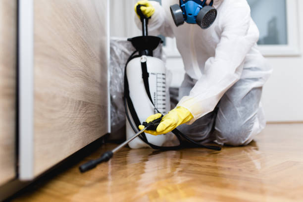 Professional Pest Control in Palos Hills, IL