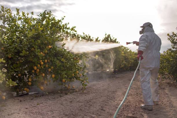 Best Cockroach Control Services  in Palos Hls, IL