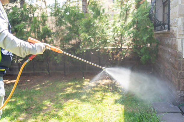 Best Best Pest Control Companies  in Palos Hls, IL