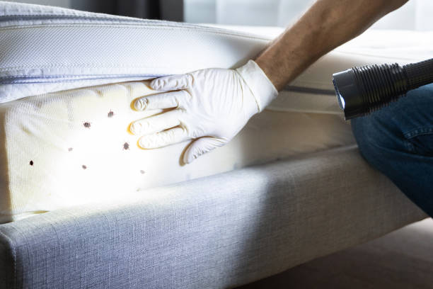 Best Best Pest Control Companies  in Palos Hls, IL