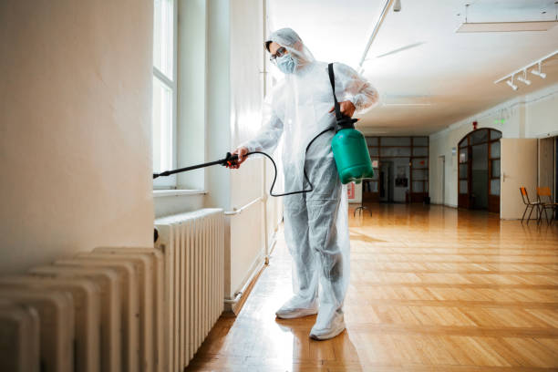 Best Termite Control Services  in Palos Hls, IL