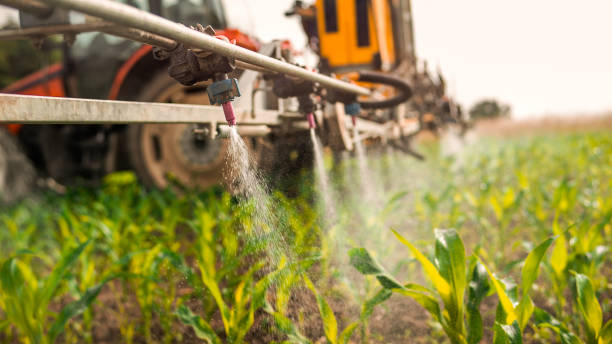 Best Local Pest Control Services  in Palos Hls, IL